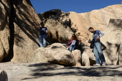 DSC_5168 (Large).JPG